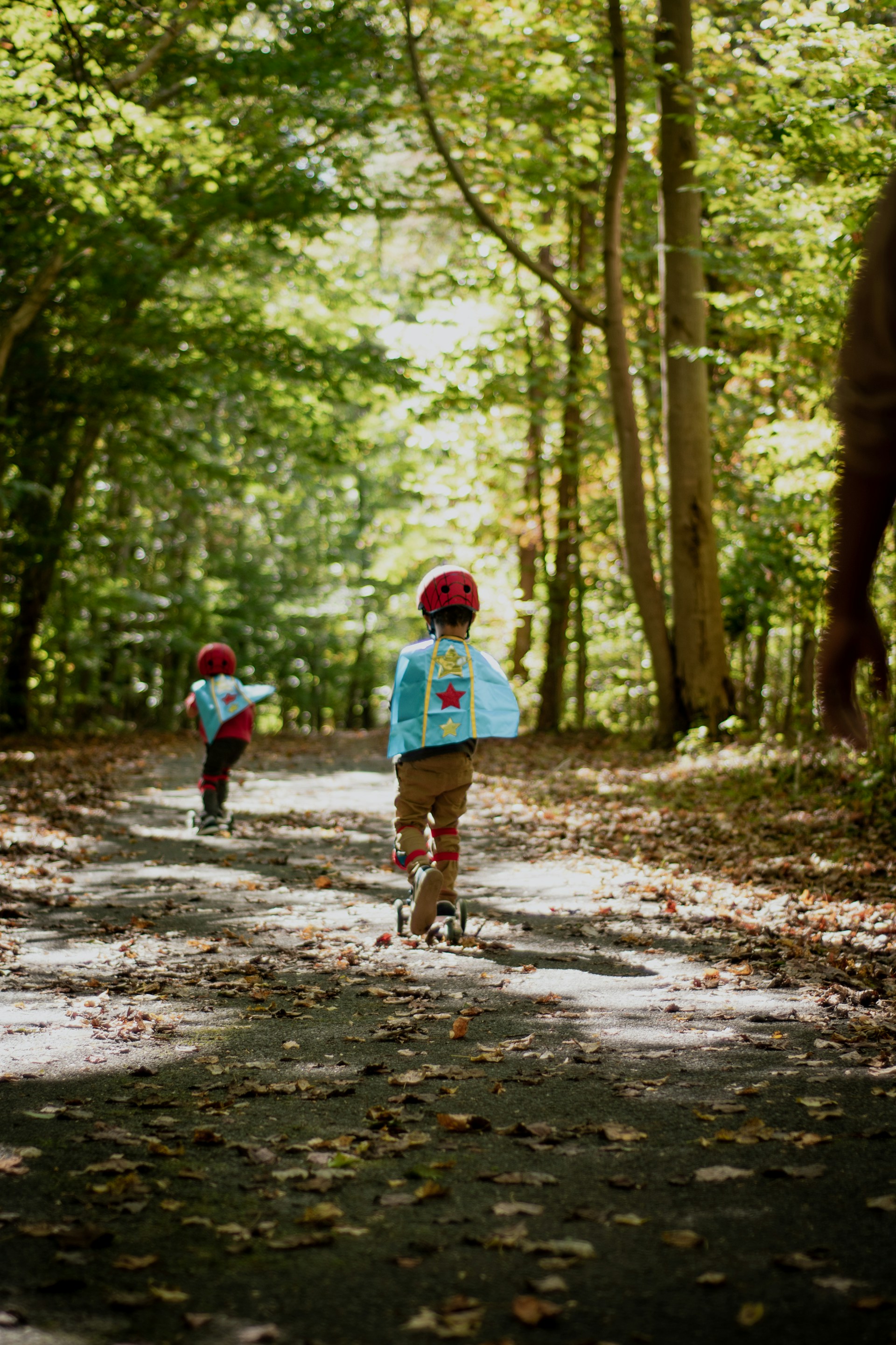 Superhelden im Wald